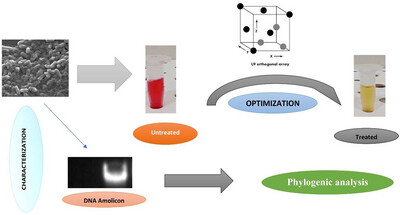 Improved Biodegradation of Reactive Red 120 by Pseudomonas aeruginosa JU_CHE_01: Isolation, Characterization, and Statistical Optimization