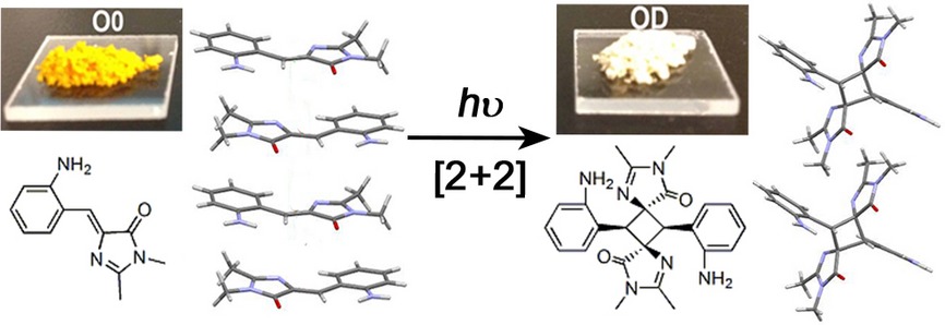 o-Amino Analogs of Green Fluorescence Protein Chromophore: Photoisomerization, Photodimerization and Aggregation-induced Emission