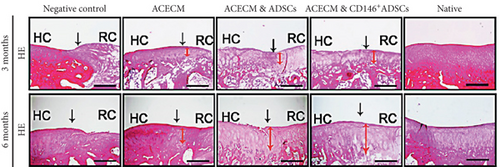 Details are in the caption following the image