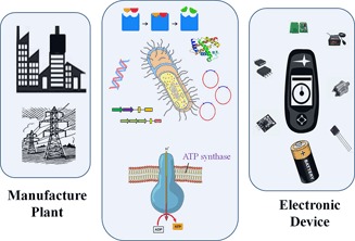 Facilitate Collaborations among Synthetic Biology, Metabolic Engineering and Machine Learning