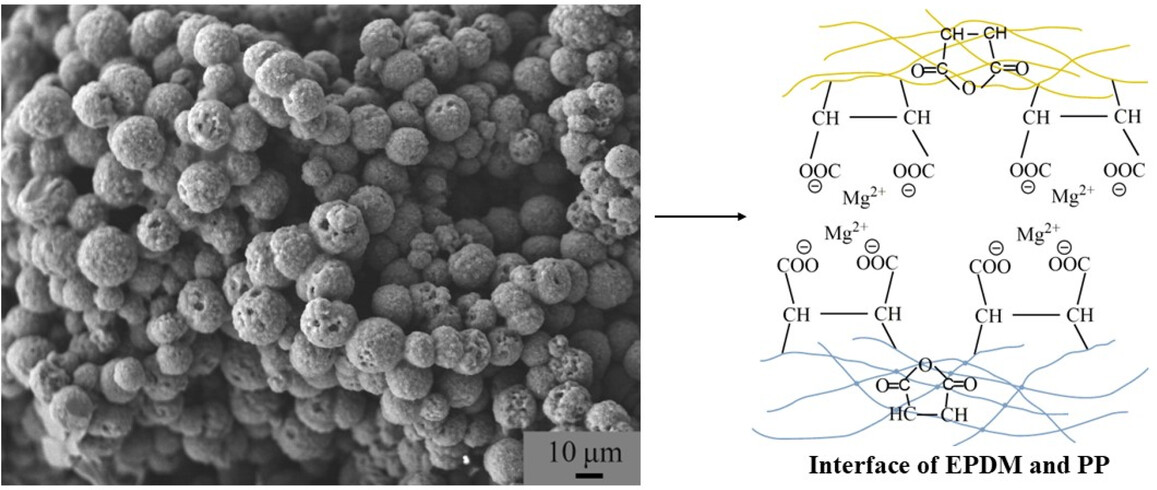 The effect of rubber and plastic mass ratio on the compatibilized ethylene propylene diene monomer/polypropylene TPV with shape memory behavior