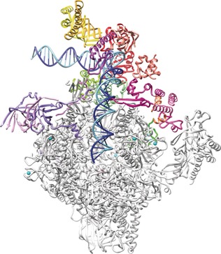 The Structural Basis of Transcription: 10 Years After the Nobel Prize in Chemistry
