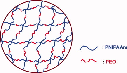 From poly(N-isopropylacrylamide)-block-poly(ethylene oxide)-block-poly(N-isopropylacrylamide) triblock copolymer to poly(N-isopropylacrylamide)-block-poly(ethylene oxide) hydrogels: Synthesis and rapid deswelling and reswelling behavior of hydrogels