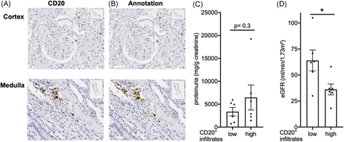Details are in the caption following the image Details are in the caption following the image
