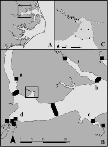 Details are in the caption following the image