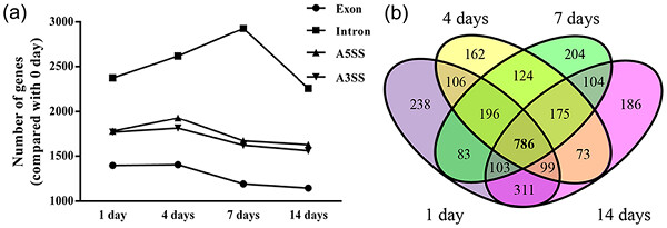 Transcriptional landscape of alternative splicing during peripheral nerve injury