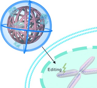 Self-Assembled DNA Nanoclews for the Efficient Delivery of CRISPR–Cas9 for Genome Editing