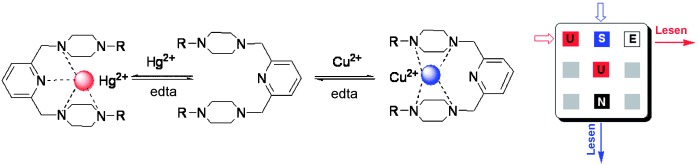 A Fluorophore Capable of Crossword Puzzles and Logic Memory