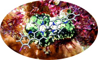 Marine Metabolites and Metal Ion Chelation: Intact Recovery and Identification of an Iron(II) Complex in the Extract of the Ascidian Eudistoma gilboviride