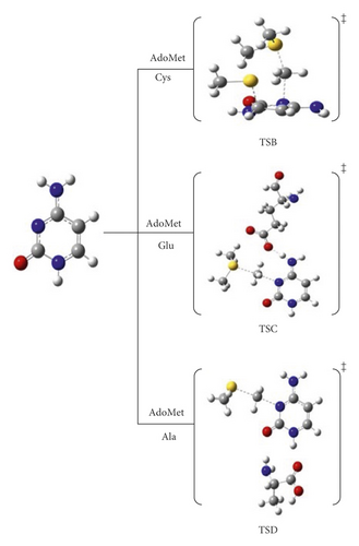Details are in the caption following the image Details are in the caption following the image