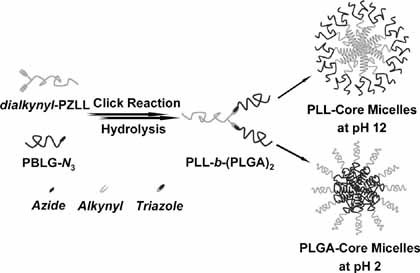 Supramolecular Self-Assembly of Nonlinear Amphiphilic and Double Hydrophilic Block Copolymers in Aqueous Solutions