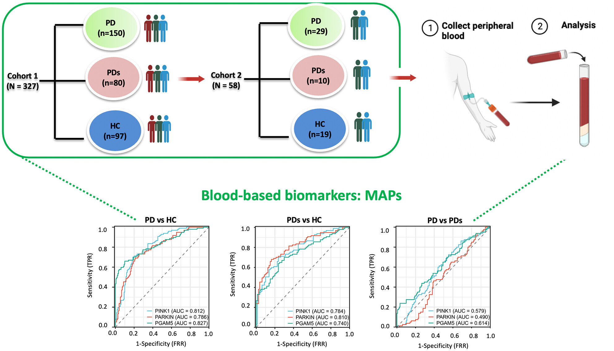 Identification of mitophagy-associated proteins profile as potential plasma biomarkers of idiopathic Parkinson's disease