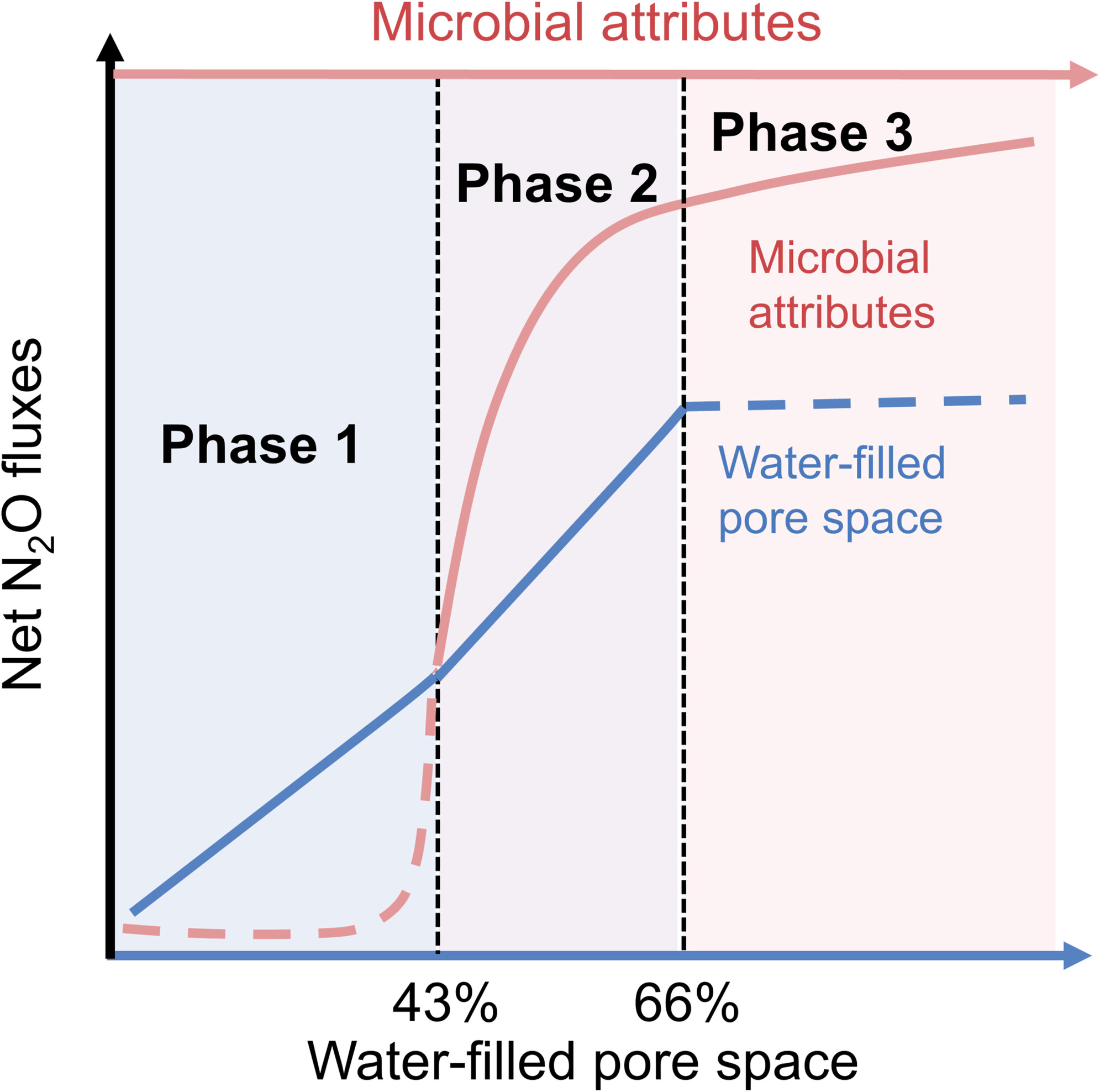 Moisture–Microbial Interaction Amplifies N2O Emission Hot Moments Under Deepened Snow in Grasslands