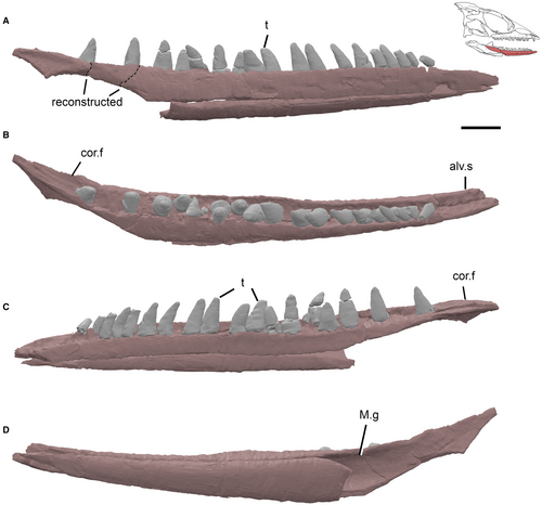 Details are in the caption following the image