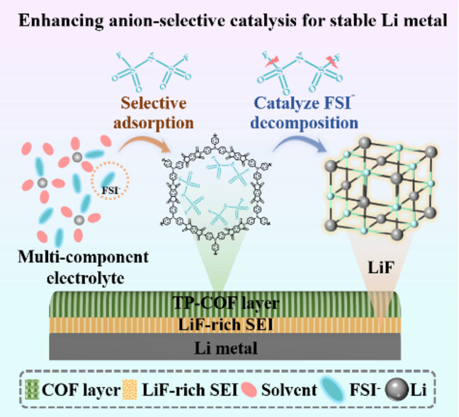 Enhancing Anion-Selective Catalysis for Stable Lithium Metal Pouch Cells through Charge Separated COF Interlayer