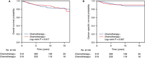 Postoperative chemotherapy had no prognostic effect on early-staged young ovarian cancer with unilateral resection