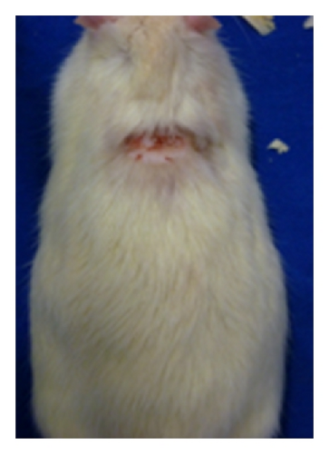 Details are in the caption following the image