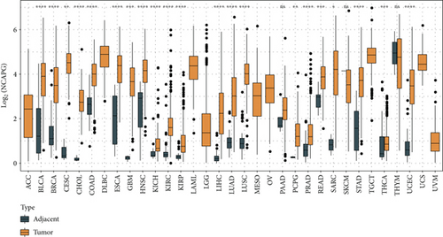 Details are in the caption following the image Details are in the caption following the image
