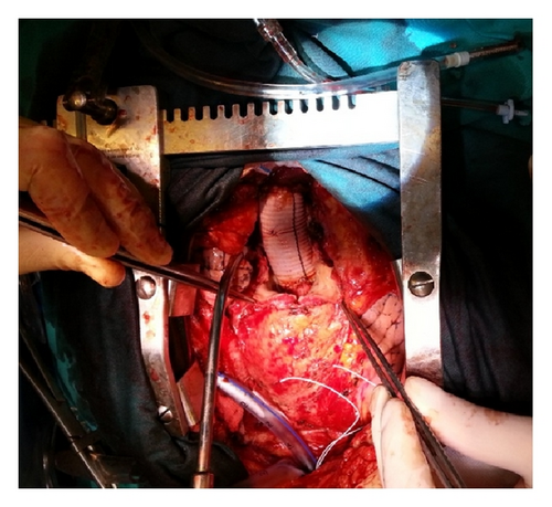 Details are in the caption following the image Details are in the caption following the image