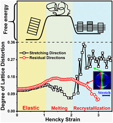Stretch-Induced Melting and Recrystallization of Polyethylene-Plasticizer Film Studied by In Situ X-Ray Scattering: A Thermodynamic Point of View