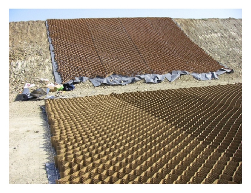 Details are in the caption following the image Details are in the caption following the image