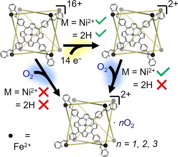 Exploring the Gas-Phase Formation and Chemical Reactivity of Highly Reduced M8L6 Coordination Cages