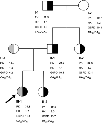 Details are in the caption following the image Details are in the caption following the image