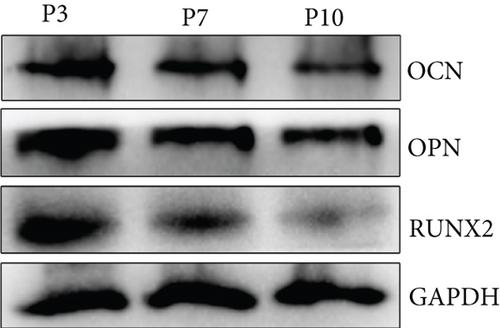 Details are in the caption following the image