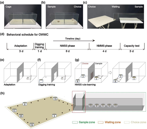 Details are in the caption following the image Details are in the caption following the image