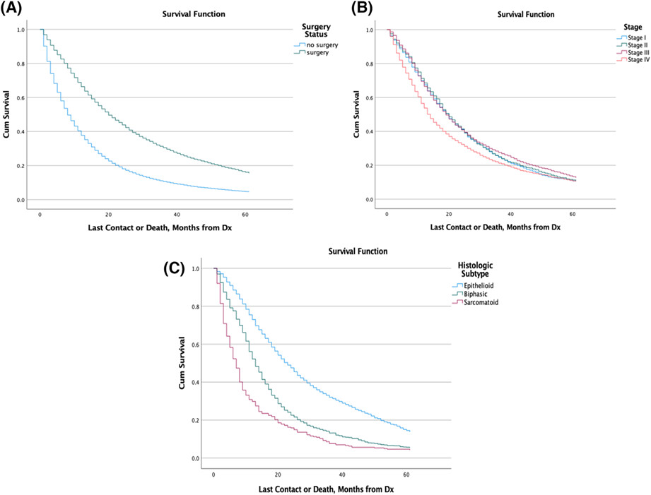 Epidemiological, therapeutic, and survival trends in malignant pleural mesothelioma: A review of the National Cancer Database