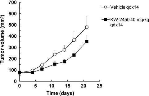 Preclinical and first-in-human phase I studies of KW-2450, an oral tyrosine kinase inhibitor with insulin-like growth factor receptor-1/insulin receptor selectivity