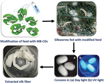 Mulberry Leaves (Morus Rubra)-Derived Blue-Emissive Carbon Dots Fed to Silkworms to Produce Augmented Silk Applicable for the Ratiometric Detection of Dopamine