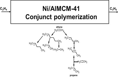 Experimental Investigation of the Reaction Network of Ethene to Propene over Ni/AlMCM-41 Catalysts