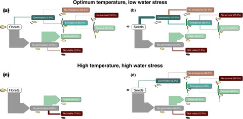 Global change impacts on arid zone ecosystems: Seedling establishment processes are threatened by temperature and water stress