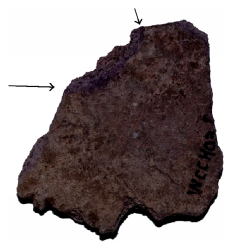 Details are in the caption following the image