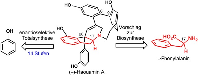 Über den biologischen Ursprung der Haouamin-Alkaloide