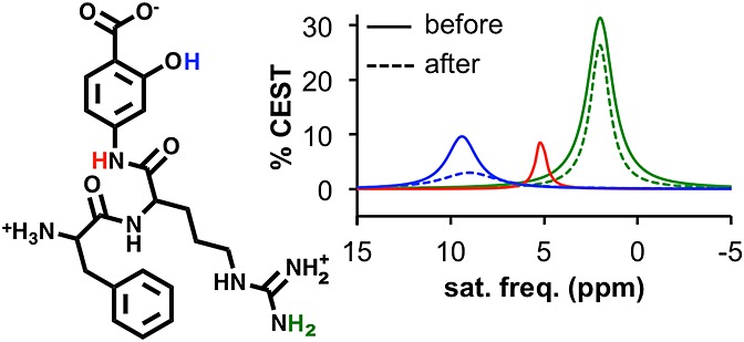 A single diamagnetic catalyCEST MRI contrast agent that detects cathepsin B enzyme activity by using a ratio of two CEST signals