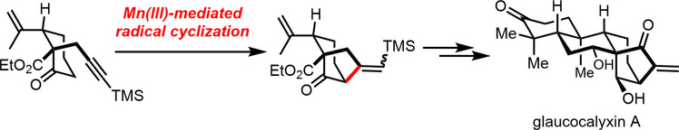 Total Synthesis of (−)-Glaucocalyxin A