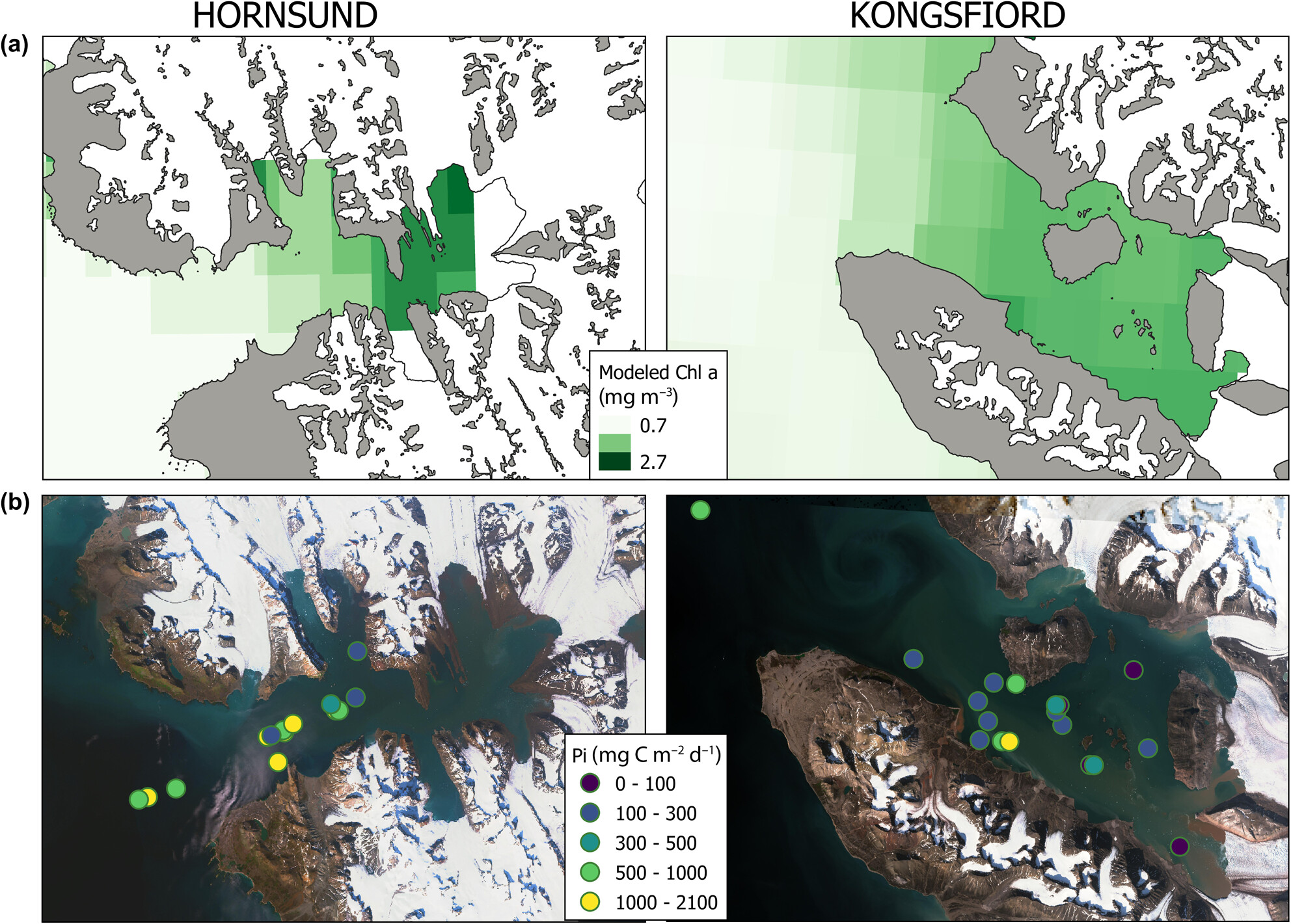 Productivity of Spitsbergen fjords ecosystems in summer—Spatial changes of in situ primary production in Kongsfjorden and Hornsund in the period 1994–2019