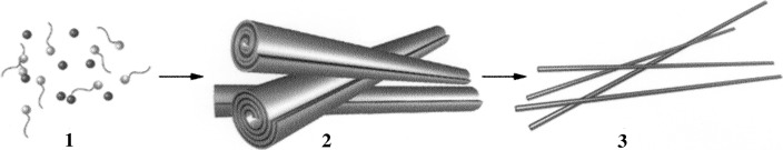 From Surfactant–Inorganic Mesostructures to Tungsten Nanowires