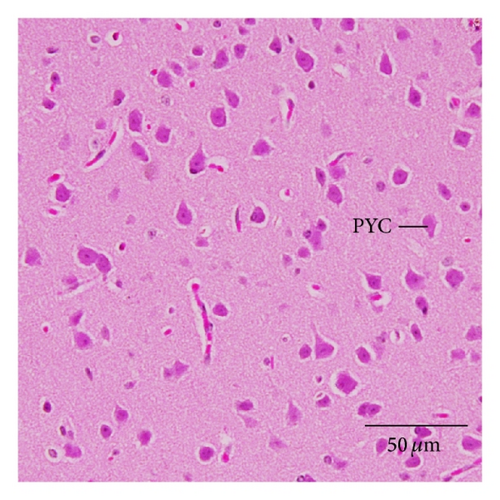 Details are in the caption following the image