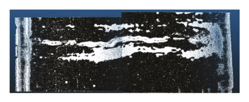 Details are in the caption following the image Details are in the caption following the image