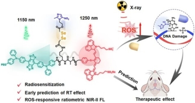 A Radio-Pharmaceutical Fluorescent Probe for Synergistic Cancer Radiotherapy and Ratiometric Imaging of Tumor Reactive Oxygen Species