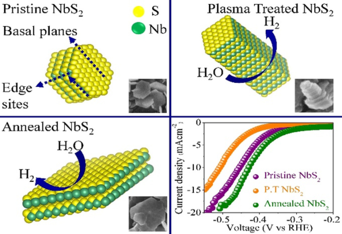 Unveiling active sites by structural tailoring of two-dimensional niobium disulfide for improved electrocatalytic hydrogen evolution reaction