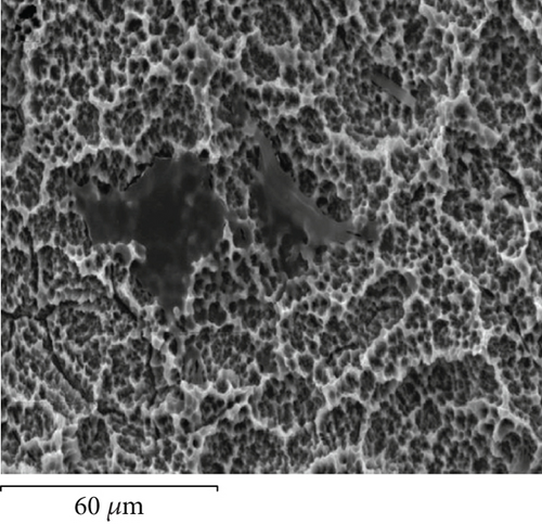 Details are in the caption following the image