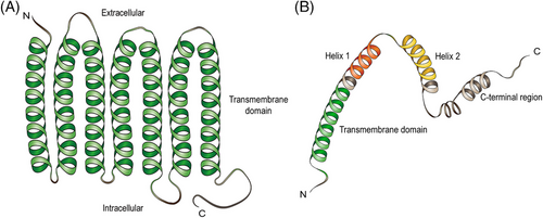 Details are in the caption following the image Details are in the caption following the image