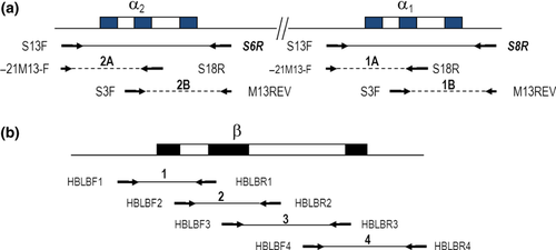 Details are in the caption following the image