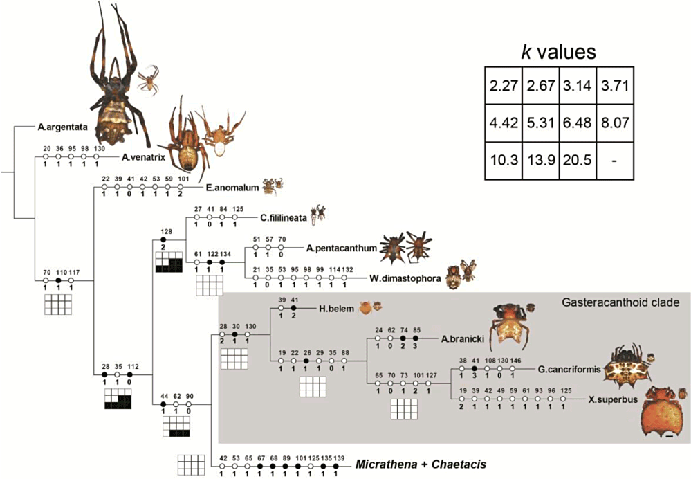 Details are in the caption following the image Details are in the caption following the image