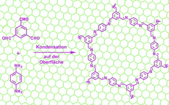 Surface-Confined Single-Layer Covalent Organic Framework on Single-Layer Graphene Grown on Copper Foil
