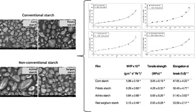 Characterization of Functional Properties of Biodegradable Films Based on Starches from Different Botanical Sources